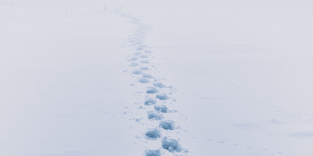 kroki na śniegu